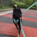 베르/3살/여아 이미지