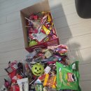 무릉도원면-23 | 할로윈캠핑후기! 상우농장갬핑장/ 친정이요 고향이다.