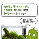레어모스 네이버블로그