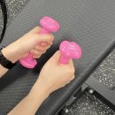 조암동물병원 | 낭만이 다 이겨