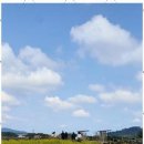 코난민박 이미지