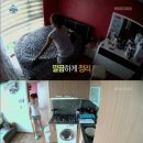 소유집