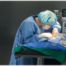 함께하는 동물병원 이미지