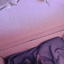 골든힐폼