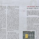 속옷나라 이미지