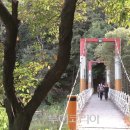 남산골약수터 이미지