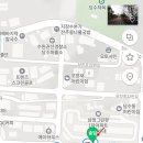 당수초 이미지
