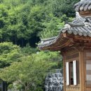 명란식당