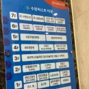 지니과학교습소 | 광주 수완지구 토익학원 올인원 잉글리쉬 어학원 성인교습소 기본•중급반 7월 한달 수강 후기