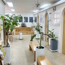 미롭다 | [진주 에스테틱 추천] 에너지 테라피 등관리 받고 왔던 내돈내산 후기 "미롭다"