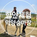 악양 승마장 이미지