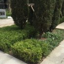 엣지코코 이미지