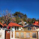 강마을 86 이미지