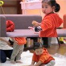 라라율 이미지