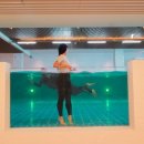 캠프통포레스트씨그라운드