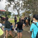 커피빅 | 하와이 빅아일랜드 코나커피 농장투어 Greenwell Farms 방문 후기｜무료 시음, 예약, 위치 총정리