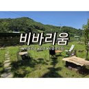 비바리움파크가 | 파주 아이랑 가볼만한 곳 [비바리움터틀파크] 후기