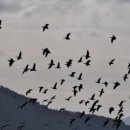 쉬미항 대합실 이미지