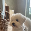 스테이 풍 이미지