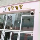 쫑랑쫑랑 이미지