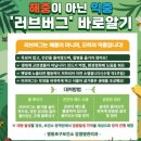 루원시티 센트럴타운아파트908동 앞 | 7月 좋은 시절은 더 선명하게