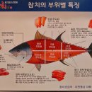 경희궁참치집