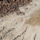 운정파크골프장 | 파주 운정 파크골프장 방문 방법 이용 후기