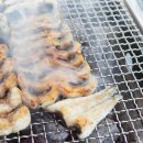 서파장어랜드 이미지