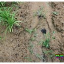 박광수농장 이미지