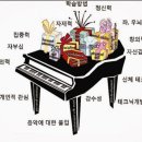 선물음악학원
