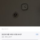 네일파티 이미지
