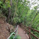 치악산둘레길 10코스 아흔아홉골길 이미지