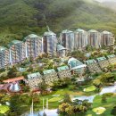 소노펠리체 이미지