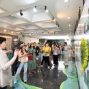 무주곤충박물관 이미지