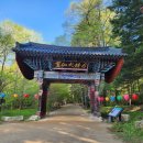 제402차[여름특집]강원특별자치도:동해/설악/인제/평창/영월기행 안내 이미지