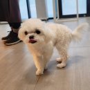 청운동물병원 이미지