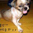 예솔 이미지