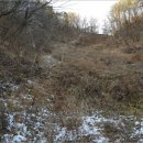 단양군어상천면석교보건진료소 | 대전리 토지(전)경매/단양군 어상천면 대전리 898 /2017타경3641