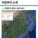 [부산출발] 태국 북부 치앙마이/라이 정규편 얼리버드 특가 방출!! 이미지