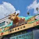 무등골축산 | 번외. 여자친구 부모님 인사드리기..마장동 축산시장 방문 후기 (석신한우 갔어요!)