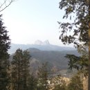 데미샘자연휴양림 이미지