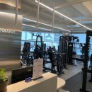 피티올로지 이미지