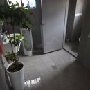 오아시스 유도클럽 이미지