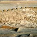 Point-태양의  이미지