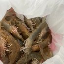 총각네수산 이미지