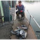 등대바다낚시터 이미지