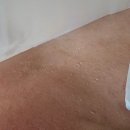 이든빌 | 제주 서귀포 마미온케어 출장 산후마사지 가격 15만원 (첫째, 둘째 같은 선생님께 관리받은 후기)