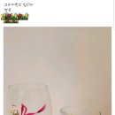 모두모아컬렉션 네이버블로그