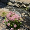 라잇나우 이미지