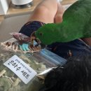 커피루소 GS강서타워점 | 2025년 10월 19일 살게 많았던 앵페스타 후기